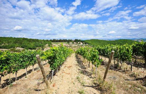 Querceto di Castellina - Foto 88