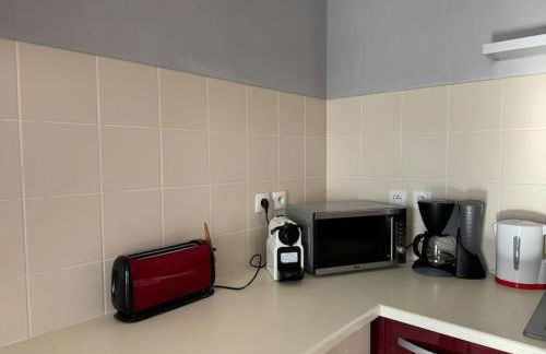 Confort et panorama T3 face à la rivière - Foto 16