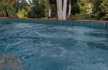 Cantinho da nona Nova Trento SC - Foto 9