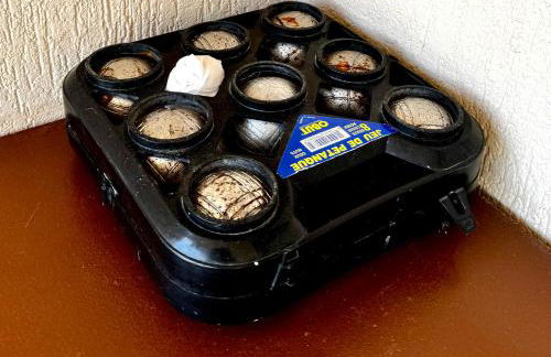 T1 bord de mer avec piscine dans residence privée - Foto 22