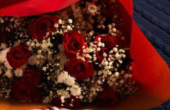 Chalé Monte Lumier - Foto 9