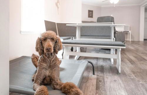 Madison Family Home & Event Rental Space on 7 Private Acers - Photo 6