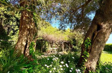 Villa Mare con Piscina - Foto 35