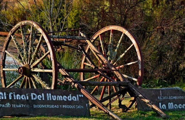 Tour in Montevideo - Foto 1