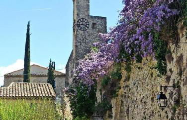 Les volets bleus - Photo 7