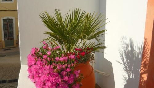 Casa do Gato - Photo 5