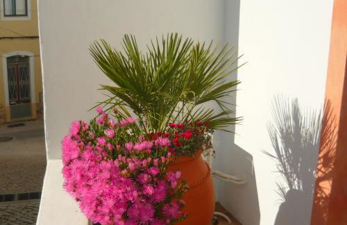 Casa do Gato - Foto 5