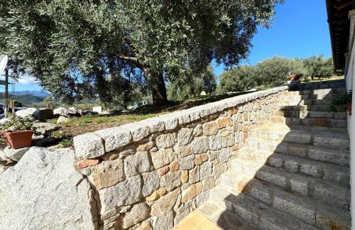 Cronta Apartments - Photo 62