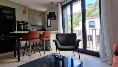 Entrez en lice, Face à la Cité vue sublime - Photo 3, stove