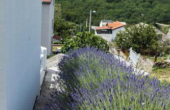 Guest house LUCIJA with swimming pool - Photo 25