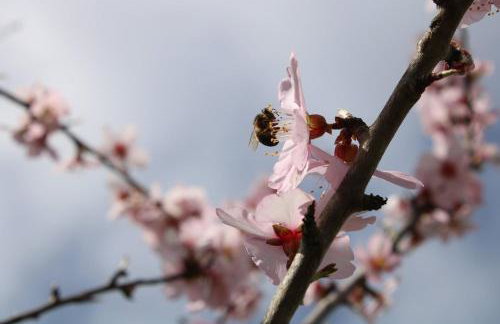 Quinta Da Devesa B1 - Foto 20