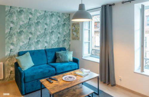 Hypercentre, authentique, calme - La distillerie - Foto 10