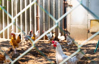 Maisonette FeWo im Haus Liane - Ferienhof by Baltic Home - Foto 17