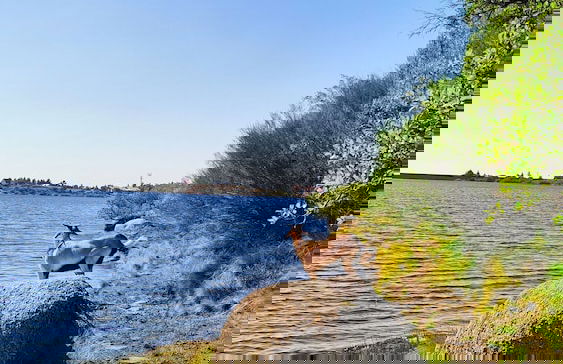 Lugar da Pedra Alta - Foto 58