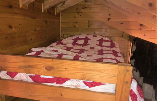 Little Bushy Head- Blue Ridge - Foto 8