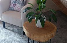 Domki Skitnica - Foto 46