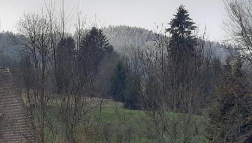 Ferienhaus Ketterer Hinterzarten - Foto 3