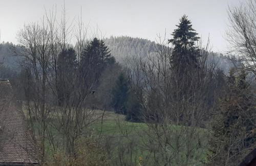 Ferienhaus Ketterer Hinterzarten - Foto 3