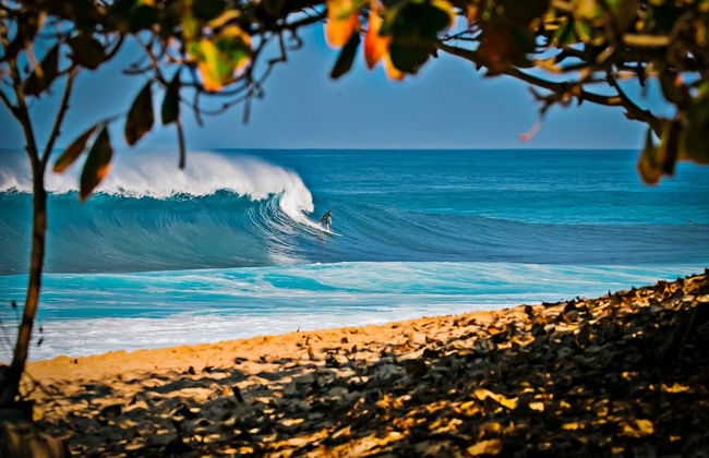 Ilikai Hotel Condo at Waikiki No Parking - Foto 67
