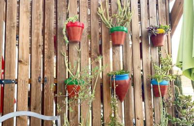 La Casilla del San Antón - Foto 30