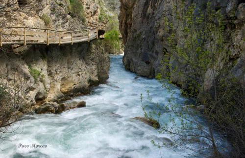 Alojamiento Rural, Cueva de la Abuela - Foto 41