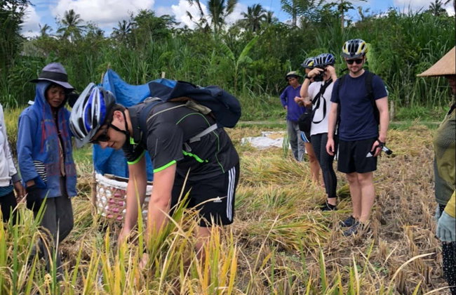 Balade à vélo à Ubud et Kintamani - Photo 3