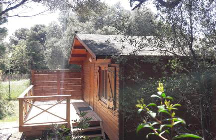 chalets bois 150m de la plage - Foto 4