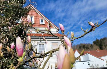 Haus Am Beckerberg im Harz - Foto 29