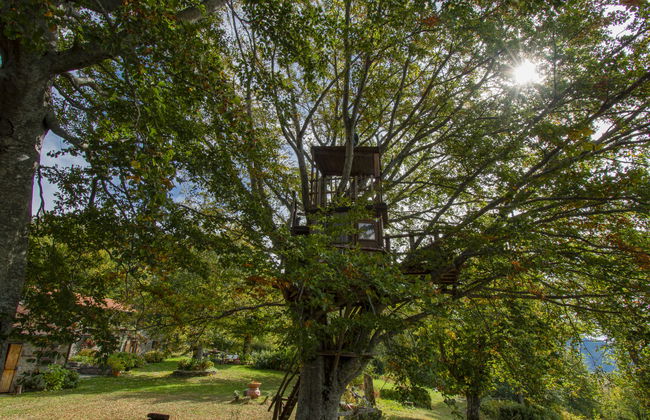 I 3 Faggi - Photo 27