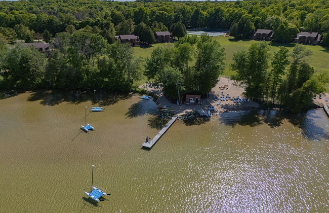 The Rushes - Foto 49