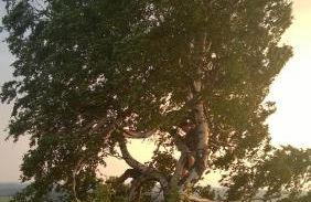 Hansis Lodge - Photo 38