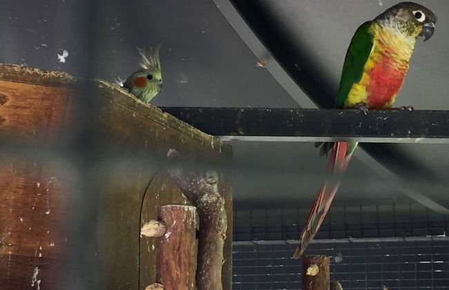 Le 5 Frecce - Photo 49