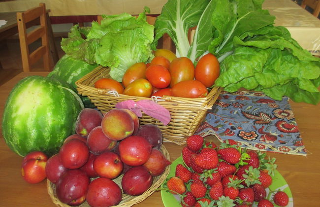 Conjunto Rural Las Rosas - Photo 30