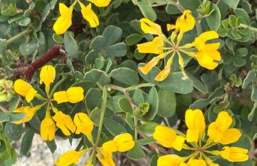 Alcarria , Casa del Agua - Foto 33