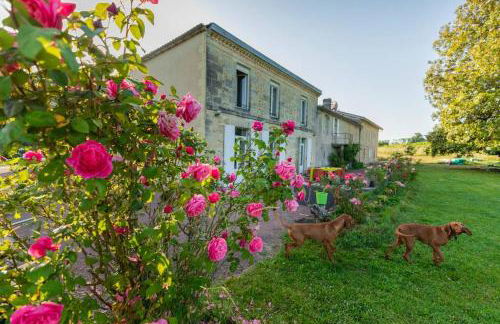 Countryhome at winery Chateau Camponac - Foto 12