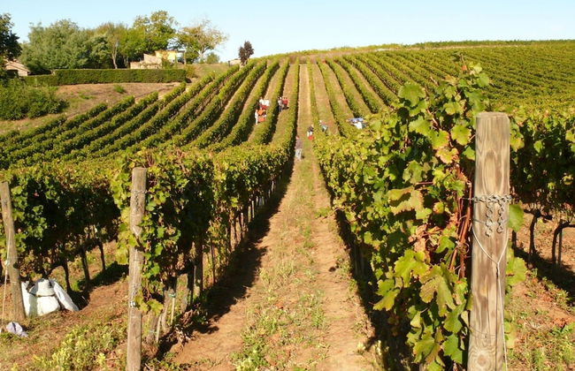 Villa Vinarte Elegant Home 2 Pools Tennis spa Winery Exclusively for you - Foto 52