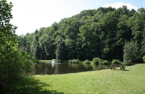 Pet-Friendly - Hot Tub - Fire Pit - Great Views - Foto 24