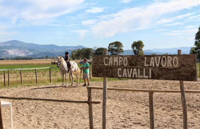 Agriturismo gli Etruschi - Foto 47