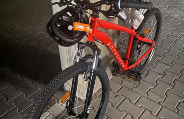 Apartment Pool Sauna Netflix Bike Parking WIFI YTPremium - Foto 17