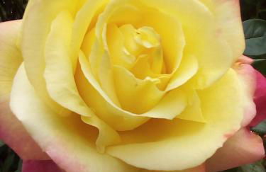 Le Logis d'Elisa - Foto 26