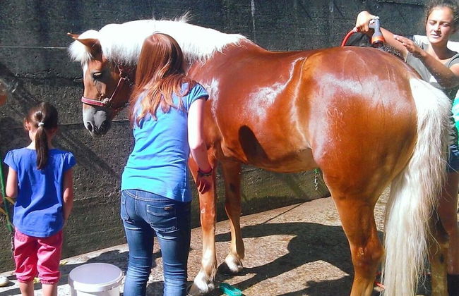 the Veitenhof Comfortable Holiday Residence - Photo 29