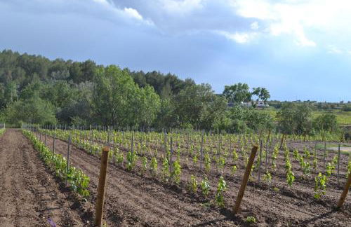 Casa Cal Tòfol - Foto 25