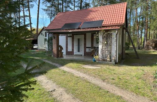 Tornower Waldhäusl, perfekt gelegen 60 km vor Berlin, auf der Schwelle zum Spreewald und nahe Tropical Islands - Foto 11