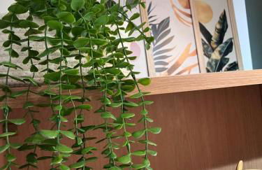 Apto NOVÍSSIMO Santo Amaro - Foto 12