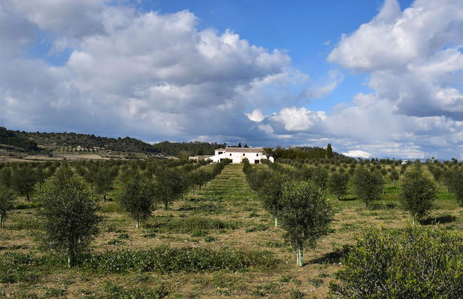 Agroturisme Gossalba - Photo 31