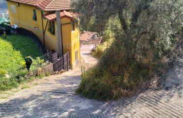 Uscio Natura - Foto 12