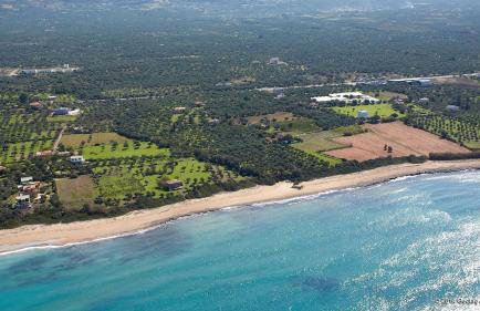 Terpsi Apartments - Kyparissia Garden Retreats - Photo 4