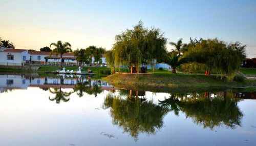 Herdade do Sardanito da Frente - Foto 5, Garden