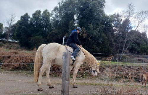 Casa Pernice - Foto 16