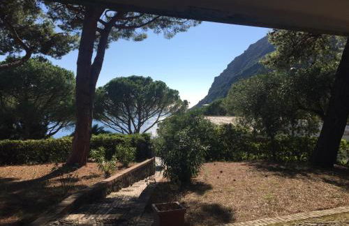 Il nido della gazza - Foto 12